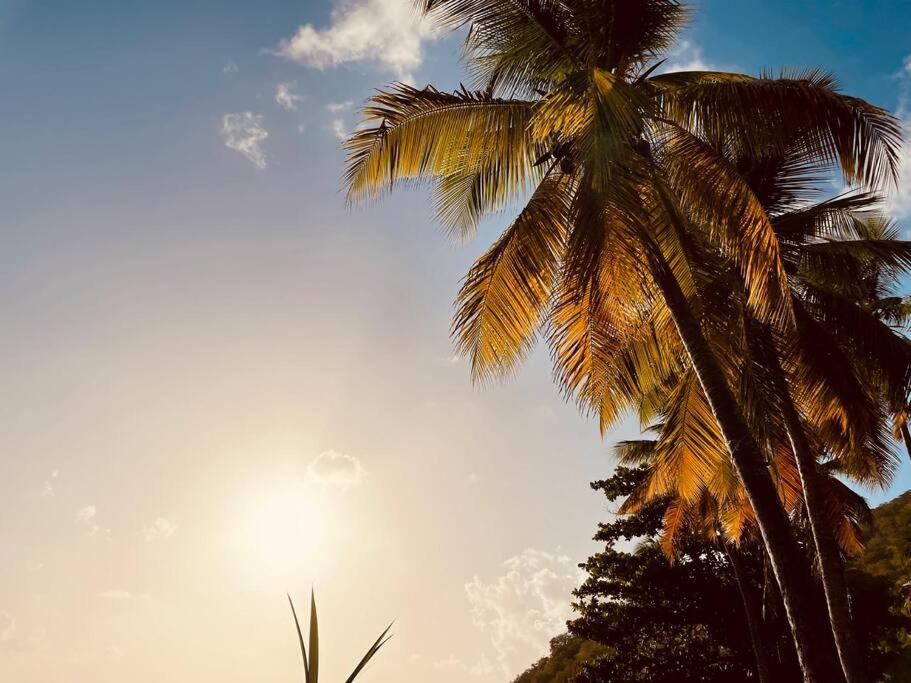 L'Amour A La Plage...Vue Mer Exceptionnelle ! Les Trois-Ilets Exterior foto