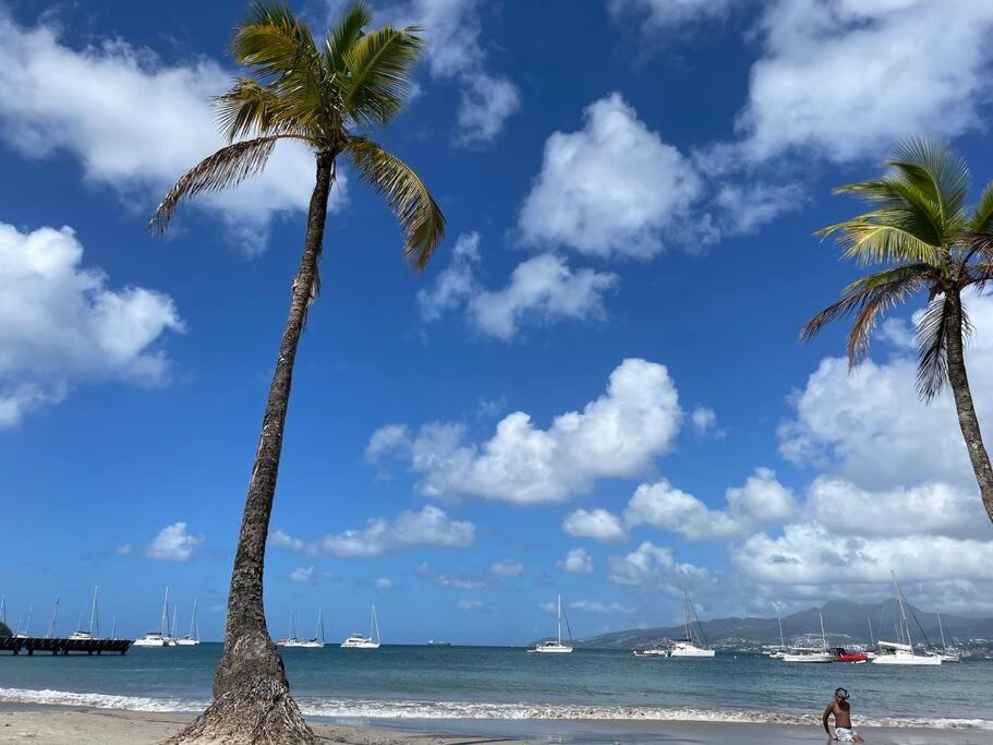 L'Amour A La Plage...Vue Mer Exceptionnelle ! Les Trois-Ilets Exterior foto